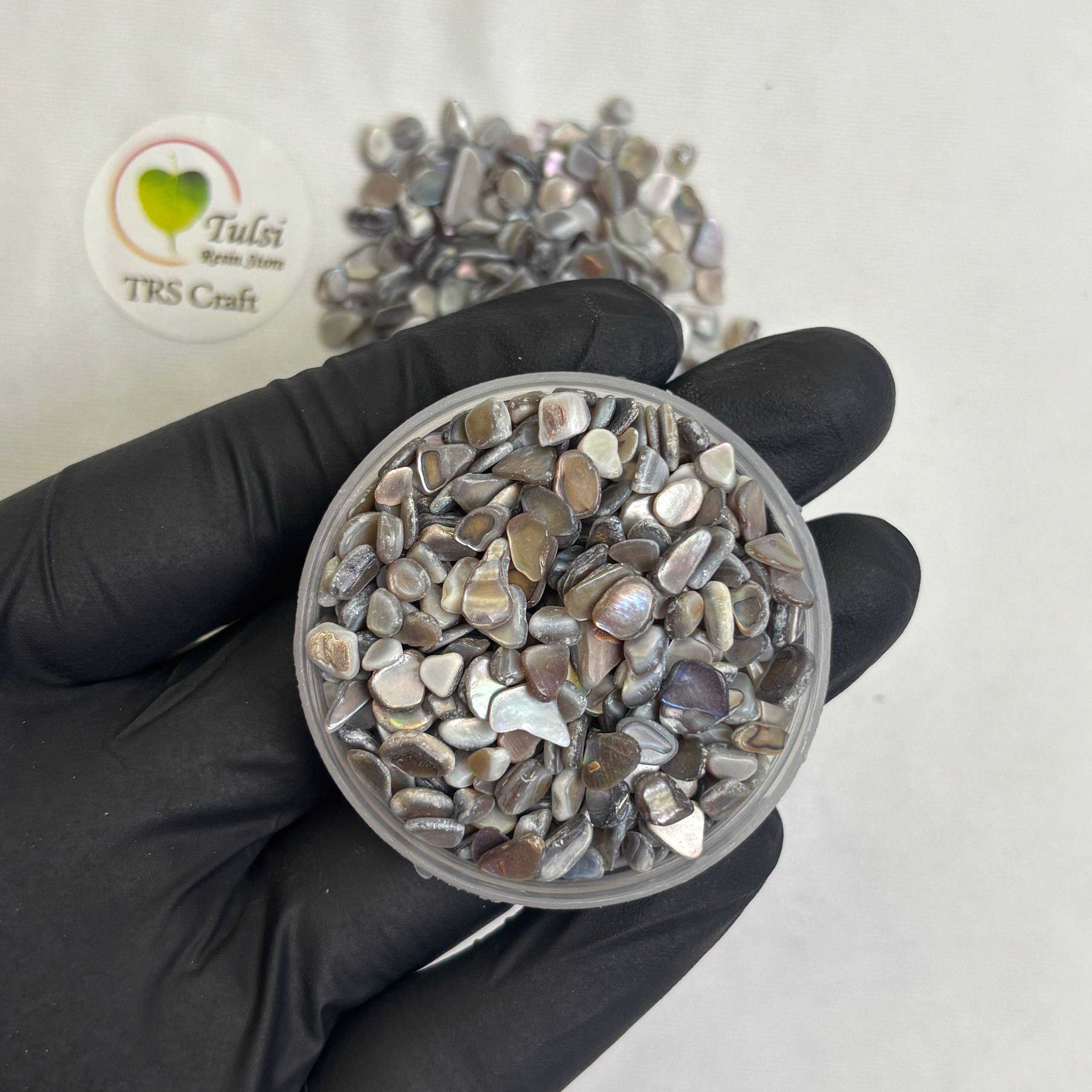 Grey Shell Chips