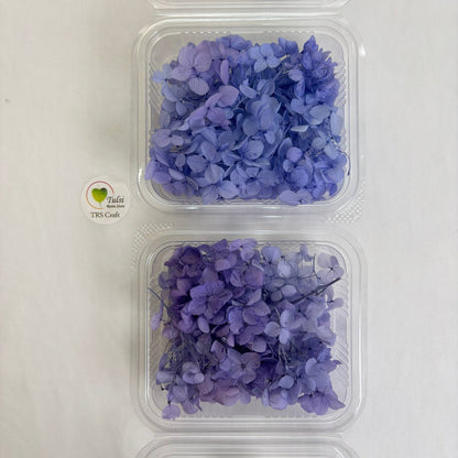Hydrangea Dry Flower Box - (D) Tulsi Resin Store