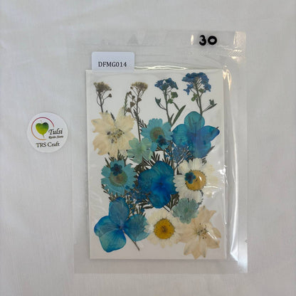 Pressed Flower Sheet Code - G tulsiresin