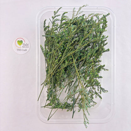 Lover Grass Box - B Tulsi Resin Store