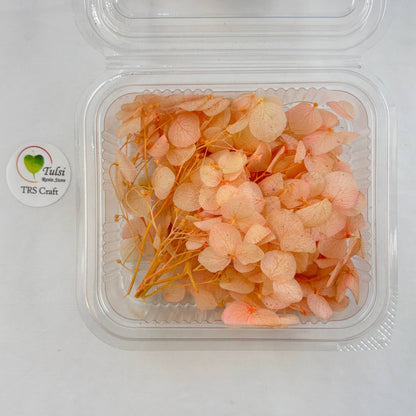 Hydrangea Dry Flower Box - (K) Tulsi Resin Store