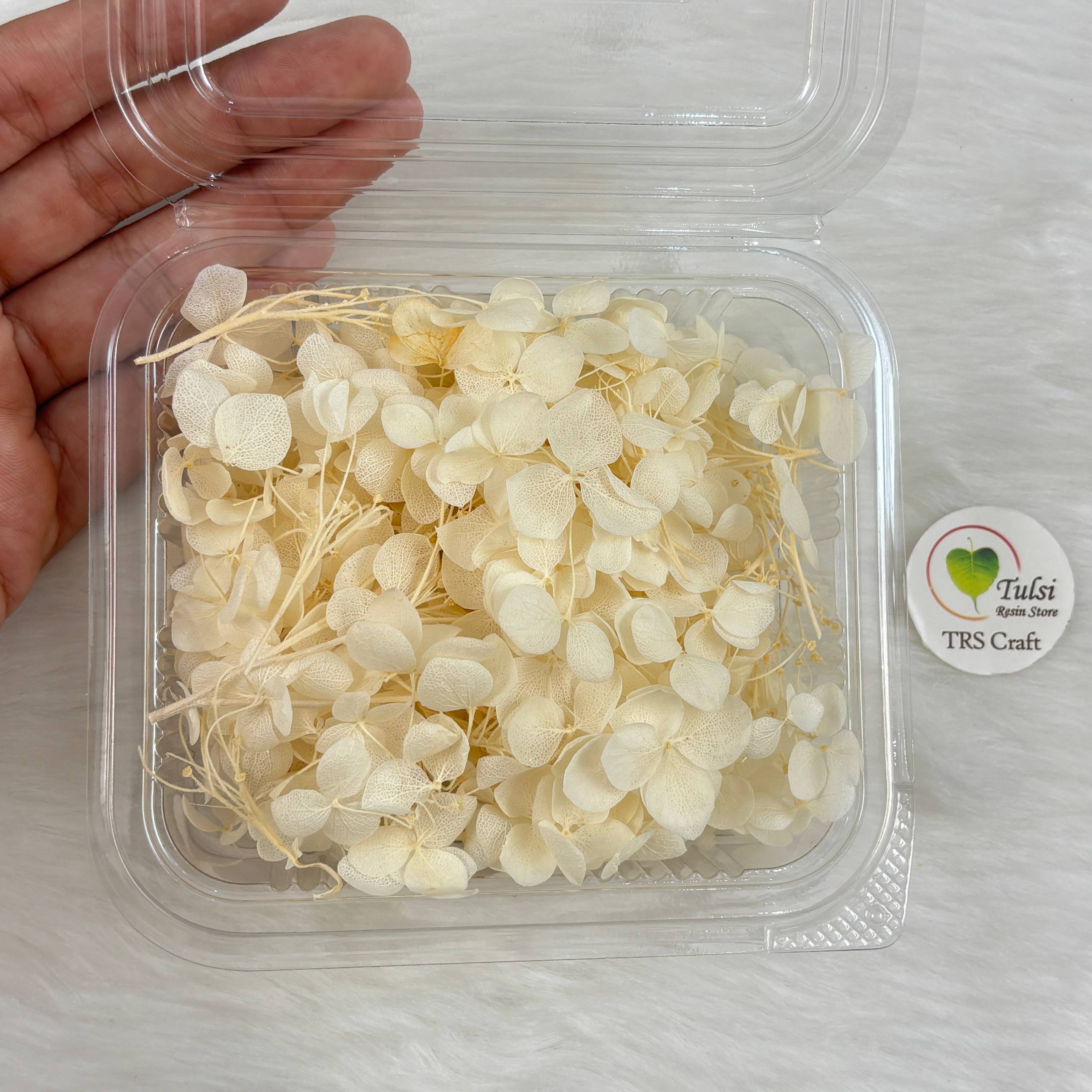 Hydrangea Dry Flower Box - (F)