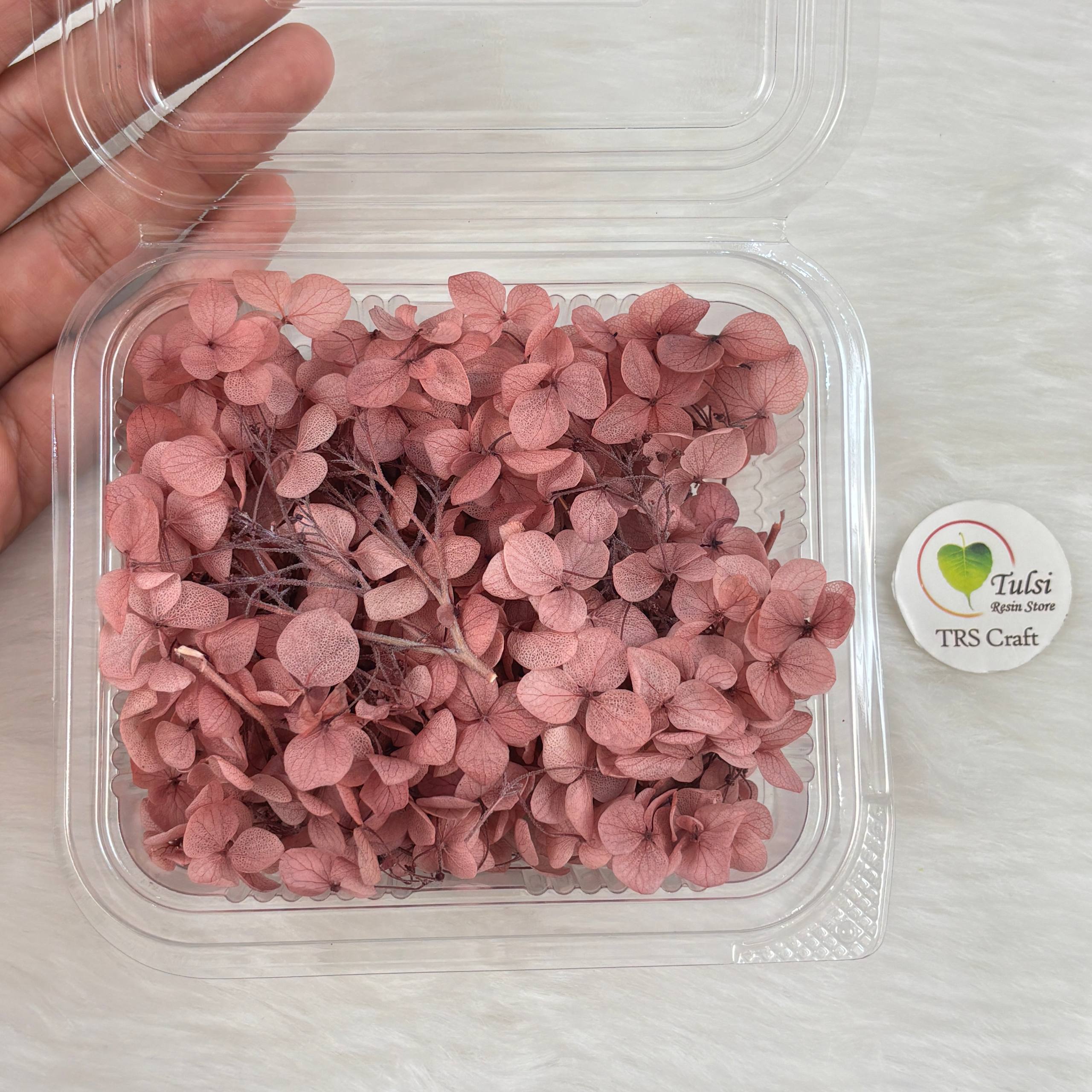 Hydrangea Dry Flower Box - (I)