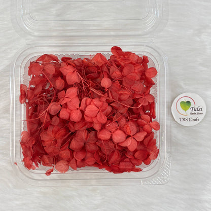 Hydrangea Dry Flower Box - (B)
