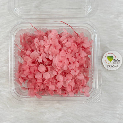 Hydrangea Dry Flower Box - (L)