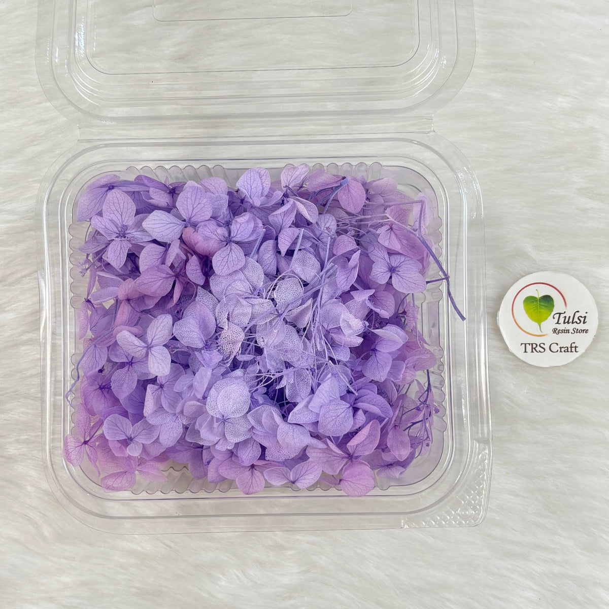 Hydrangea Dry Flower Box - (N)