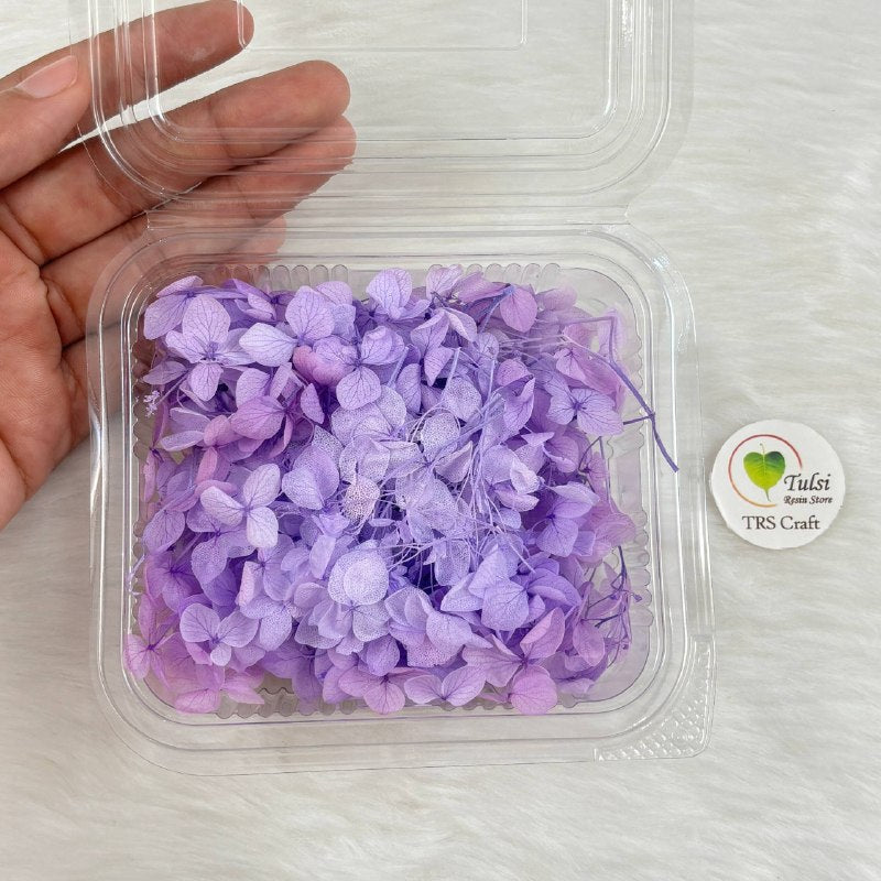 Hydrangea Dry Flower Box - (N)