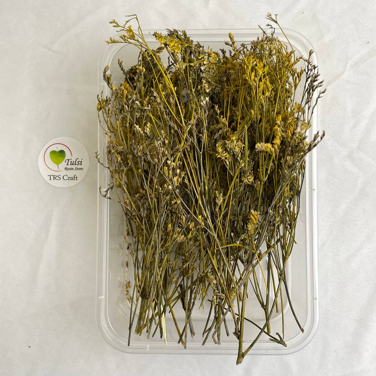 Lover Grass Box - D