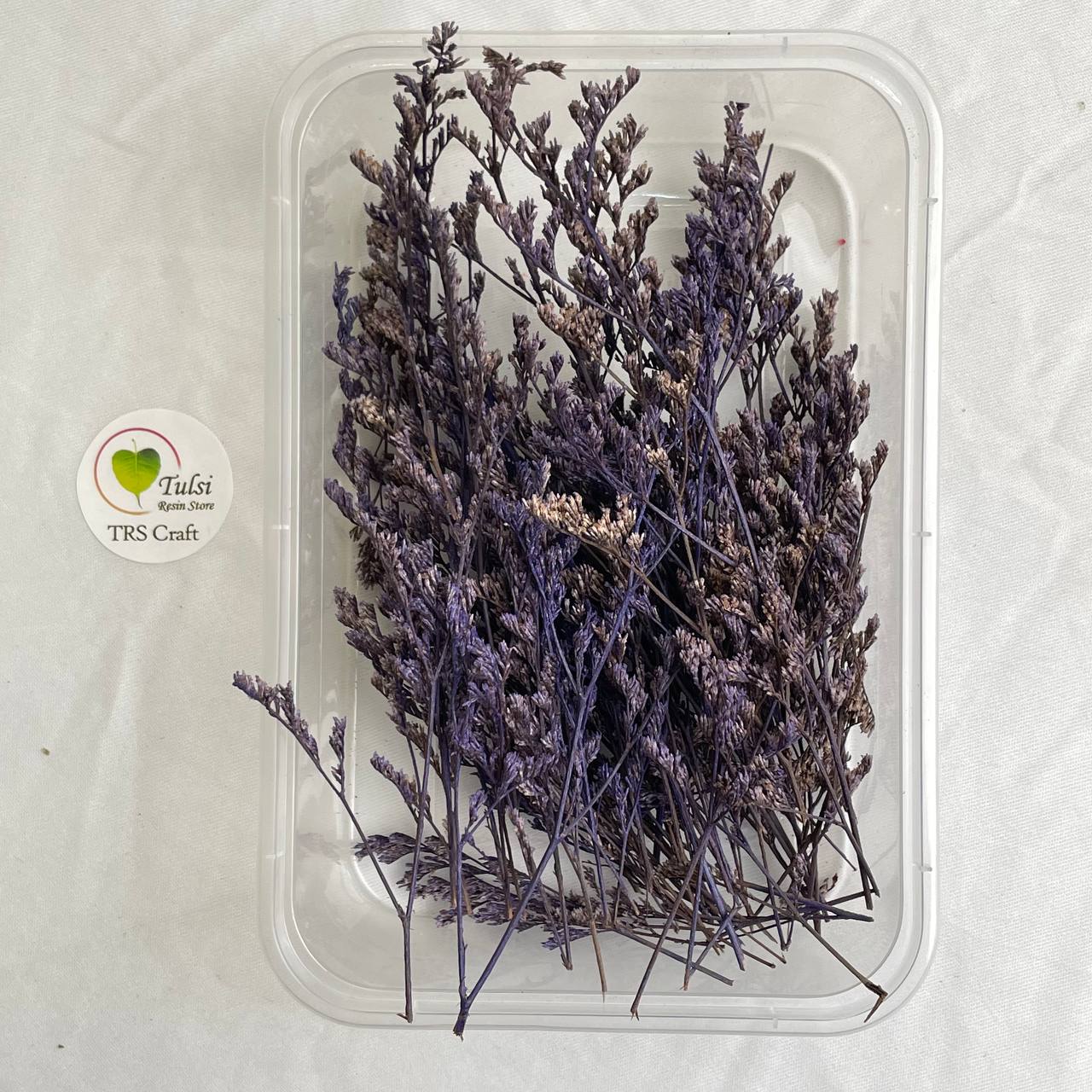 Lover Grass Box - F
