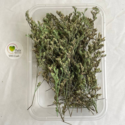 Lover Grass Box - B Tulsi Resin Store