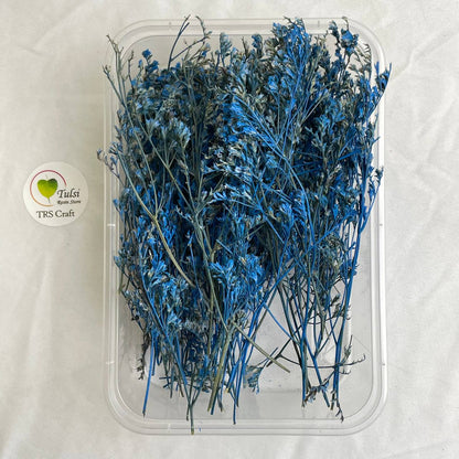 Lover Grass Box - A