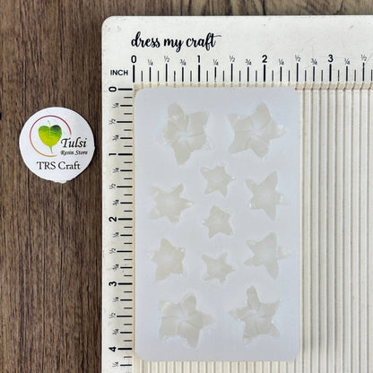 Flower Mould (A28) - Frangipani (HM)