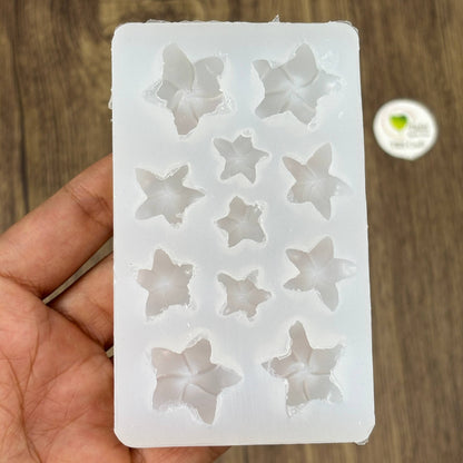 Flower Mould (A28) - Frangipani (HM)