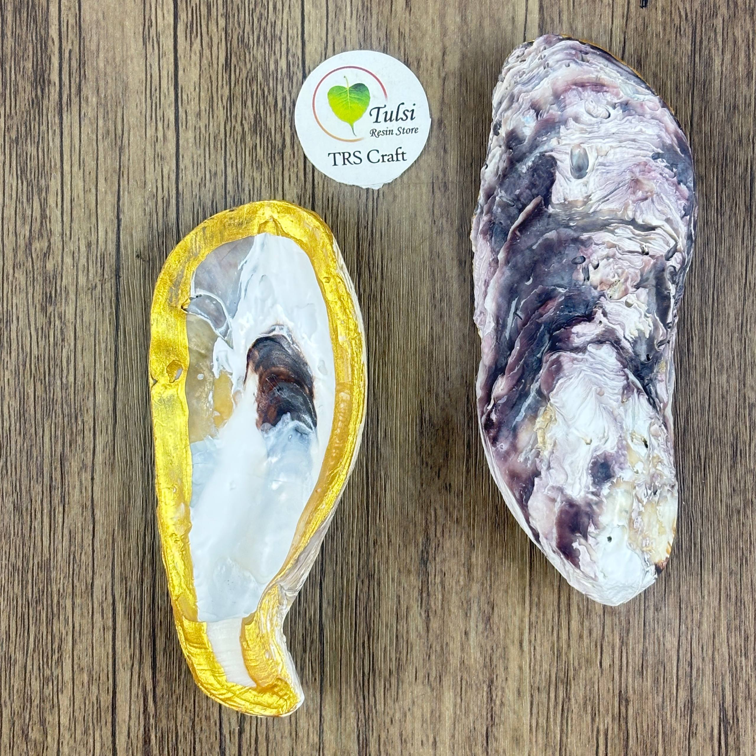 Oyster Shells - Gold Paint Edges