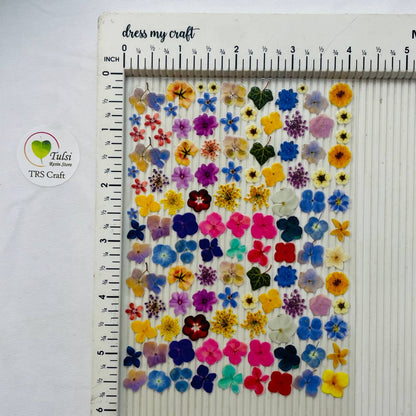 A6 UV DTF Sticker - Floral (O)