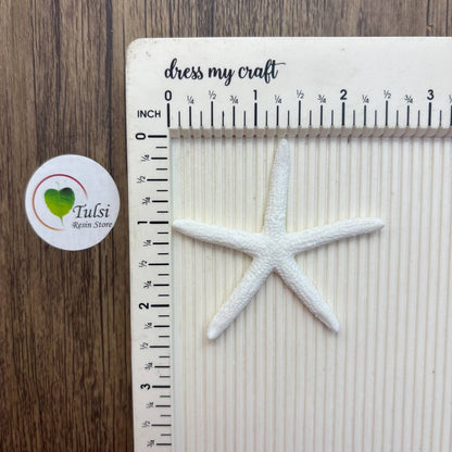 Resin Starfish (B) - Medium (5 Pc)