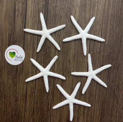 Resin Starfish (B) - Medium (5 Pc)