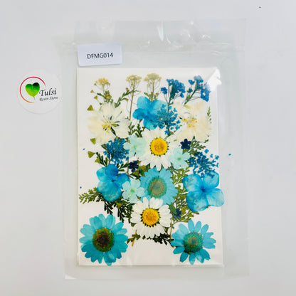 Pressed Flower Sheet Code - G tulsiresin