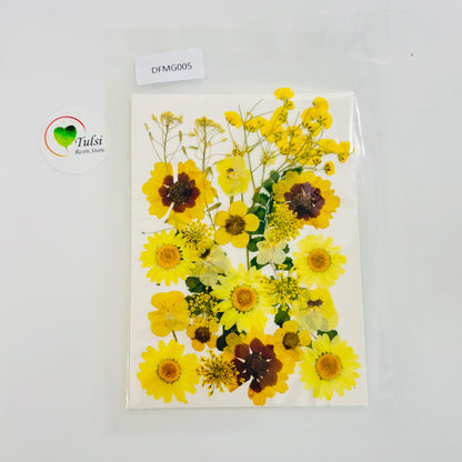 Pressed Flower Sheet Code - N tulsiresin