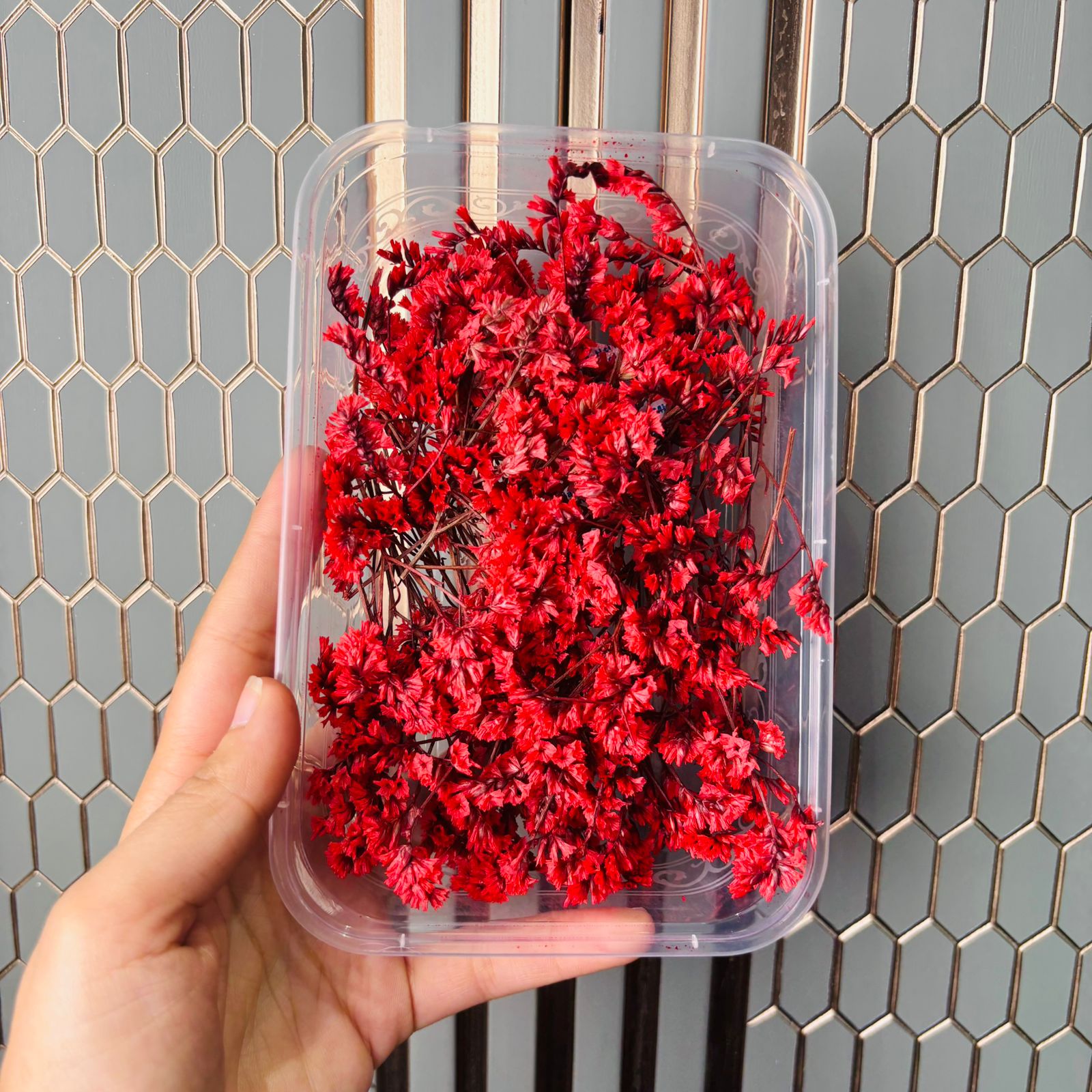 Limonium Flower Box -A