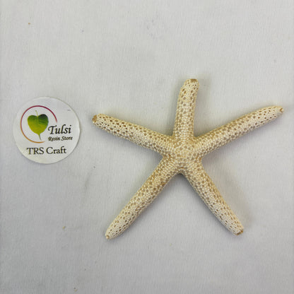 Natural Star Fish - Medium Finger
