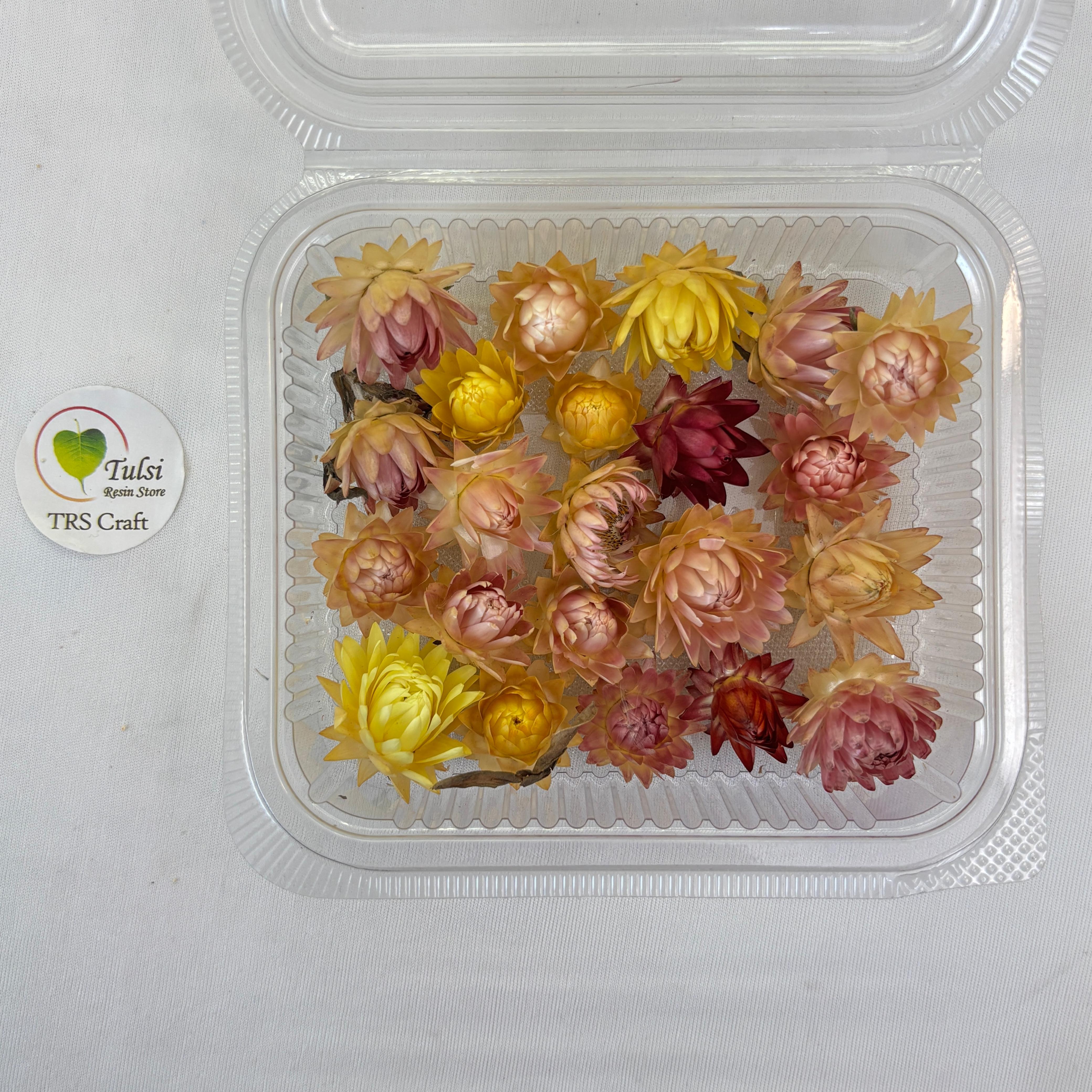 3D Dry Straw Flower box - Buds