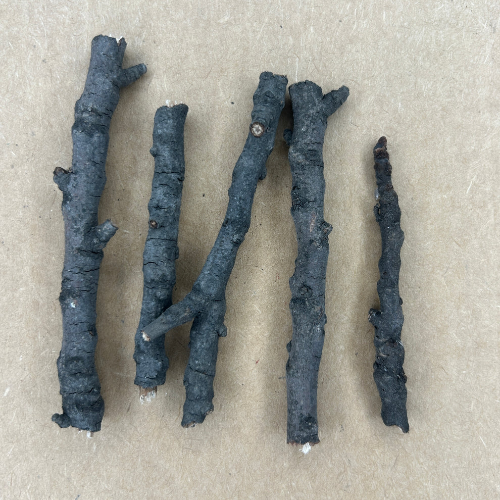 Lohri / Holika Dahan Stick Mould Tulsi Resin Store