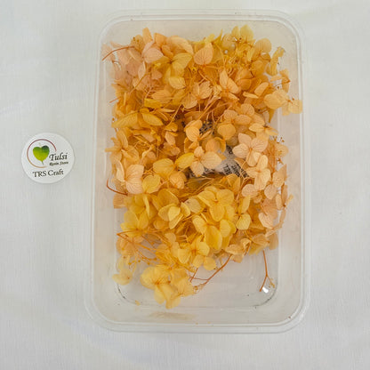 Hydrangea Dry Flower Box - (J) Tulsi Resin Store