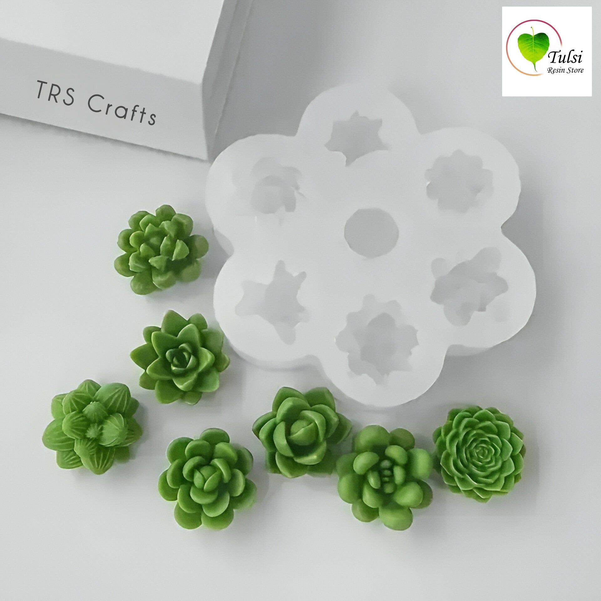 Mini Succulent Plant Mould Tulsi Resin Store