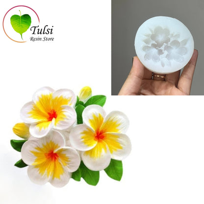 Flower Mould (A12) - Plumeria (HM) Tulsi Resin Store