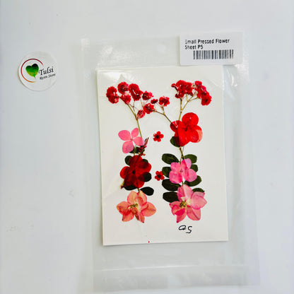 Small Pressed Flower Sheet P5 tulsiresin