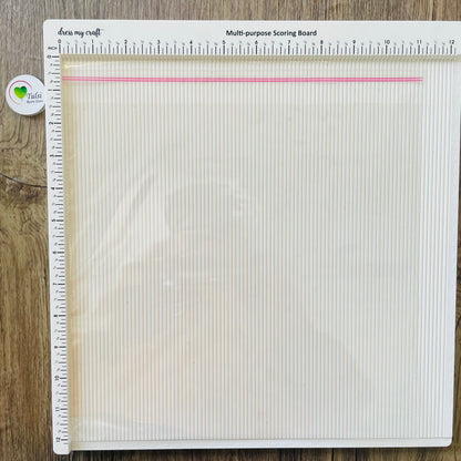 Transparent Plastic - Broad (20pcs)