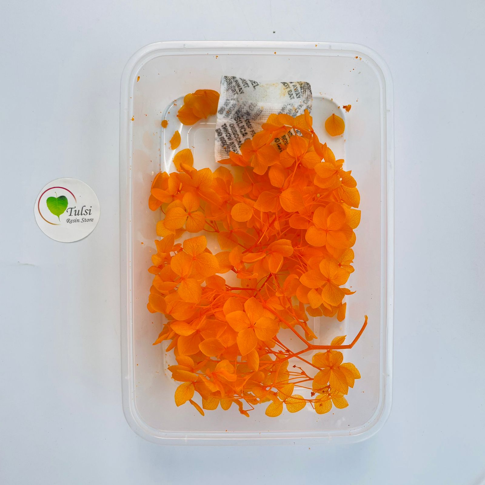 Hydrangea Dry Flower Box - (C)