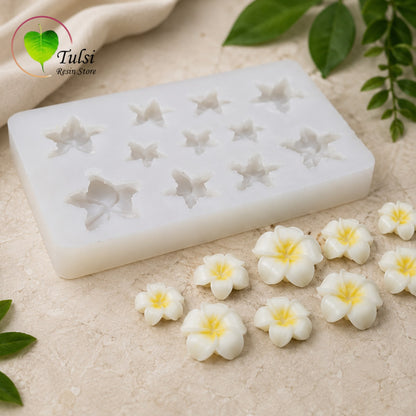 Flower Mould (A28) - Frangipani (HM)
