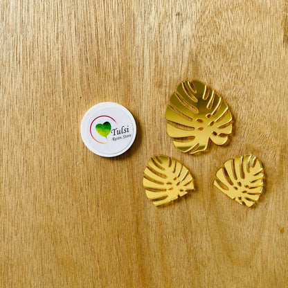 Monstera Leaf Acrylic Cutout (3 pc) Tulsi Resin Store