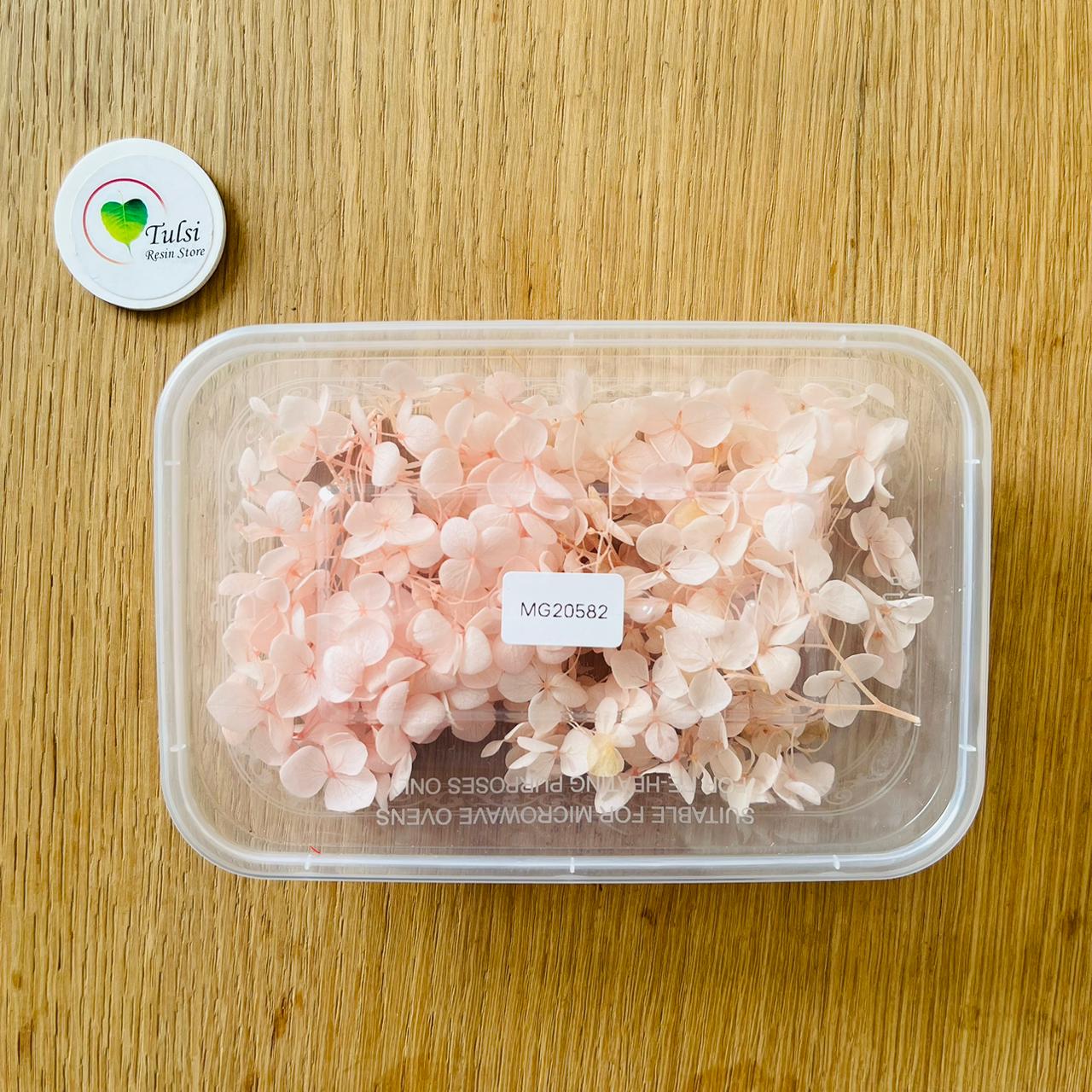 Hydrangea Dry Flower Box - (K) Tulsi Resin Store