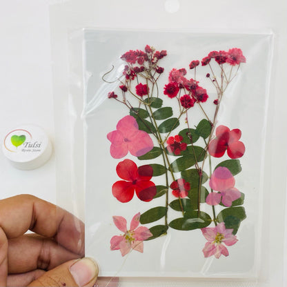 Small Pressed Flower Sheet P5 tulsiresin