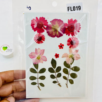 Small Pressed Flower Sheet P4 tulsiresin