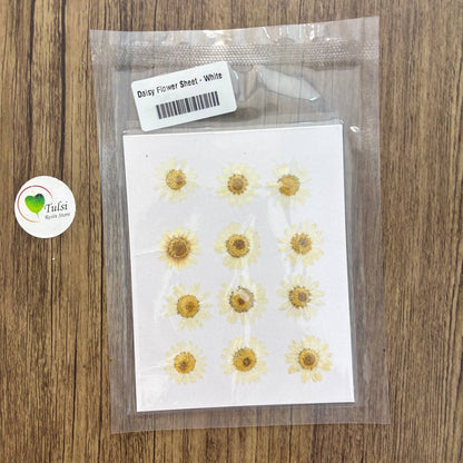 Daisy Flower Sheet