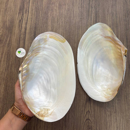 Mother of Pearl - Big White