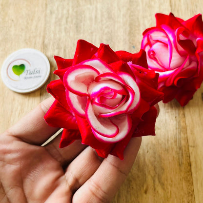 Shaded Rose Artificial Flower (2 Pcs) - Dark Pink - Tulsi Resin Store