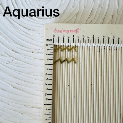 Acrylic Zodiac sign Aquarius Tulsi Resin Store