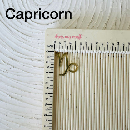Acrylic Zodiac sign Capricorn Tulsi Resin Store