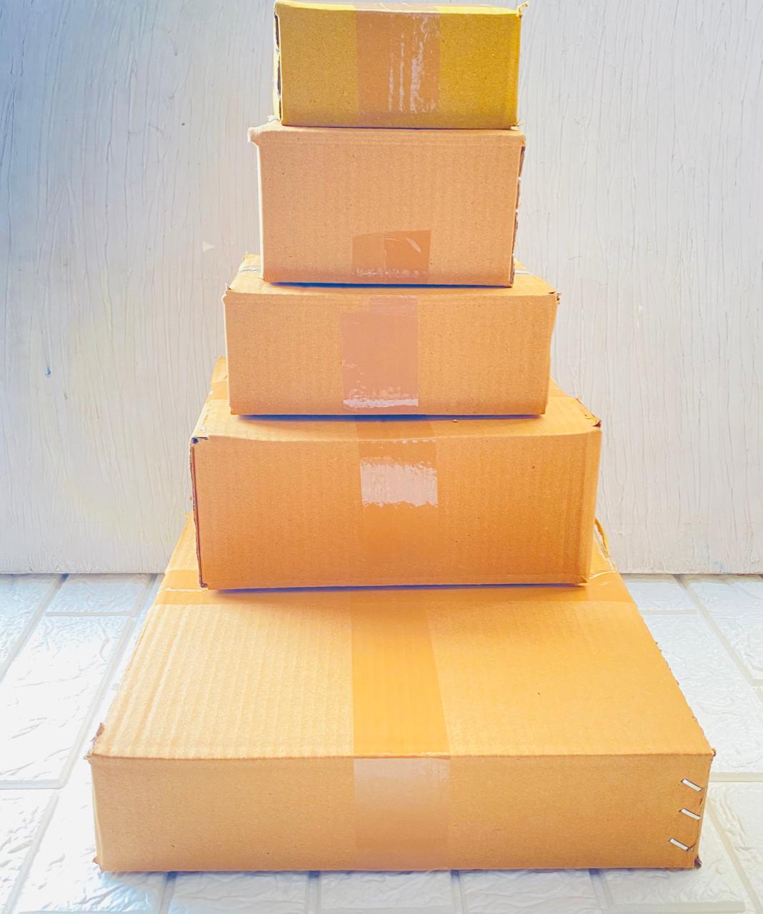 Cardboard Box - Big (5Pcs) Tulsi Resin Store
