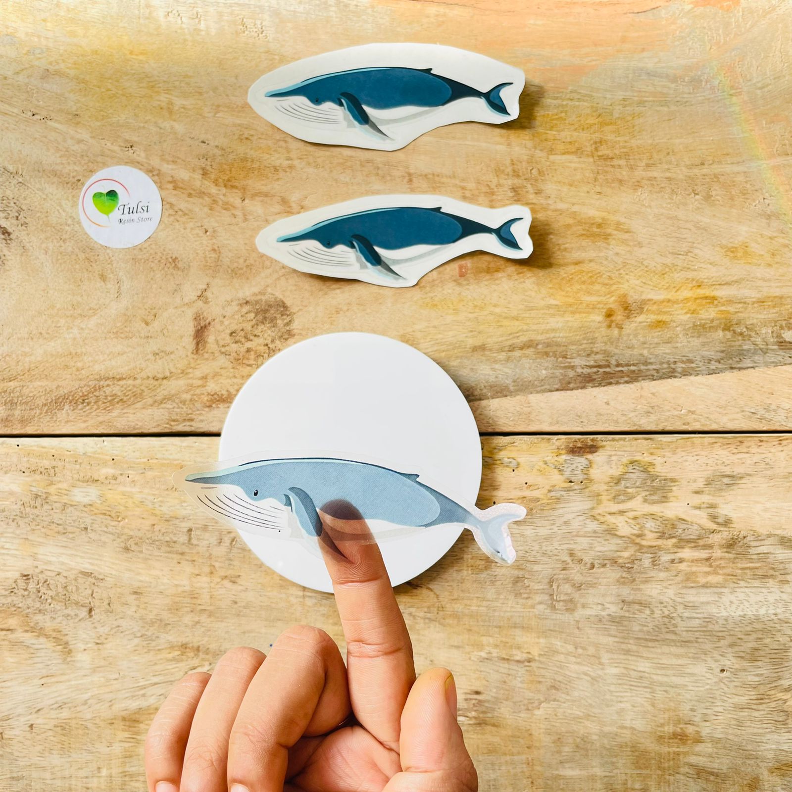 Blue transparent fish sticker Tulsi Resin Store