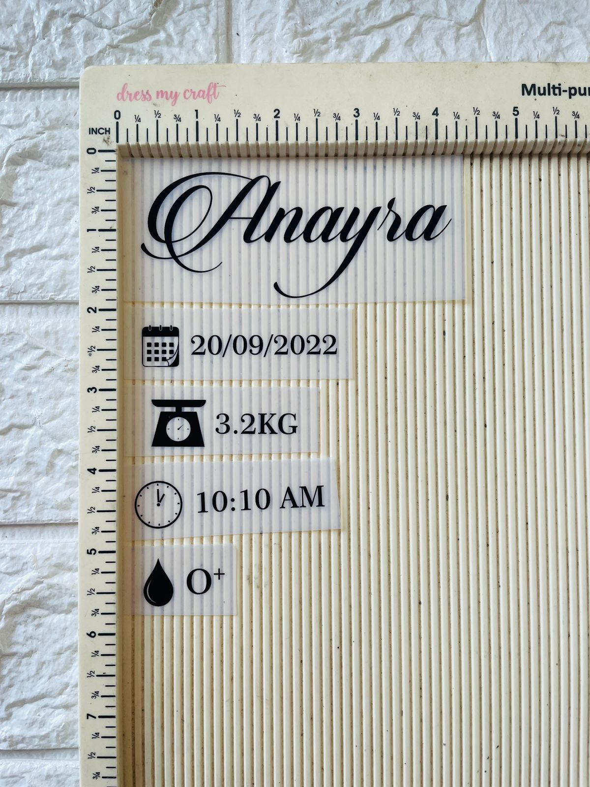 Custom Insert Sheet- New Born