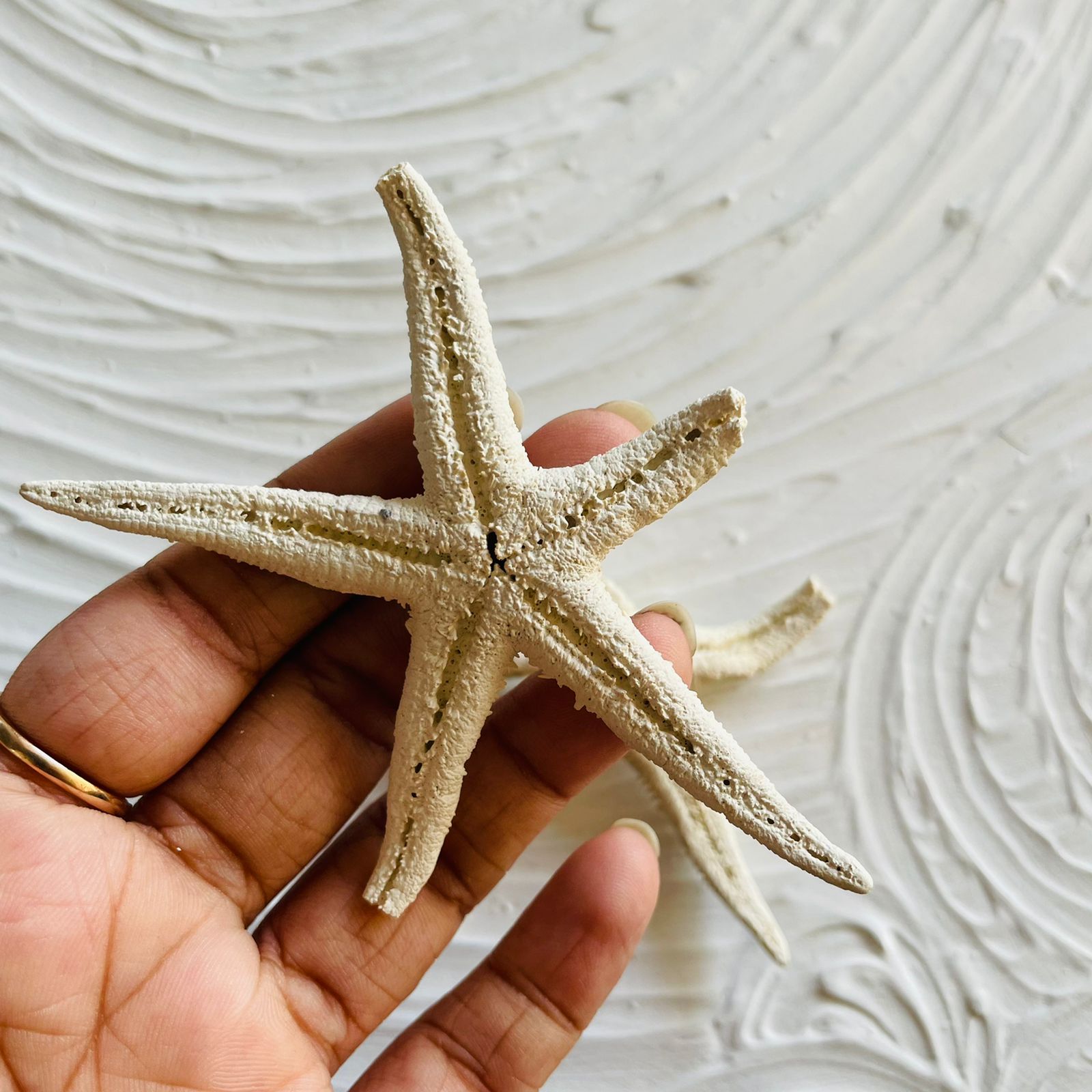 Natural Star Fish - Medium