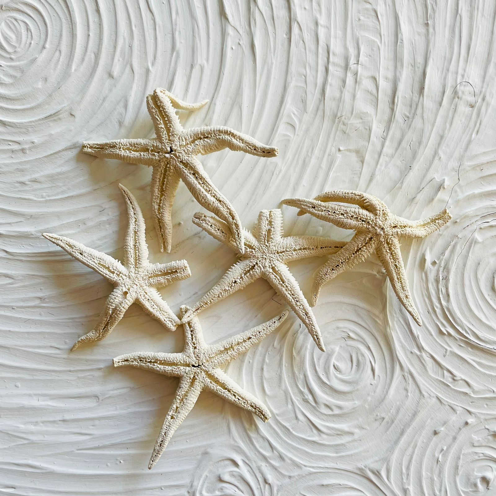 Natural Star Fish - Medium