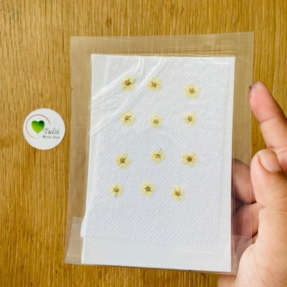 Mini Pressed Flower Sheet (A)