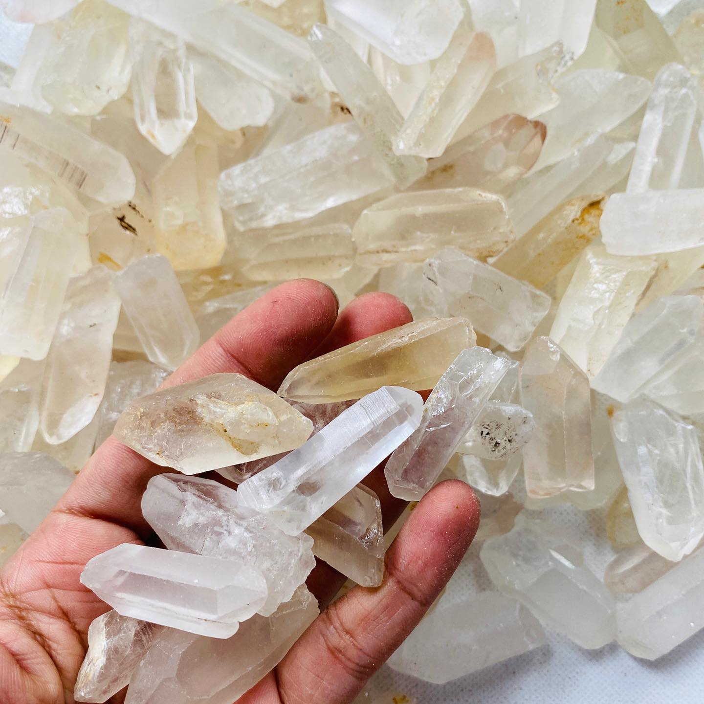 Mix Natural Pointers - - tulsiresin